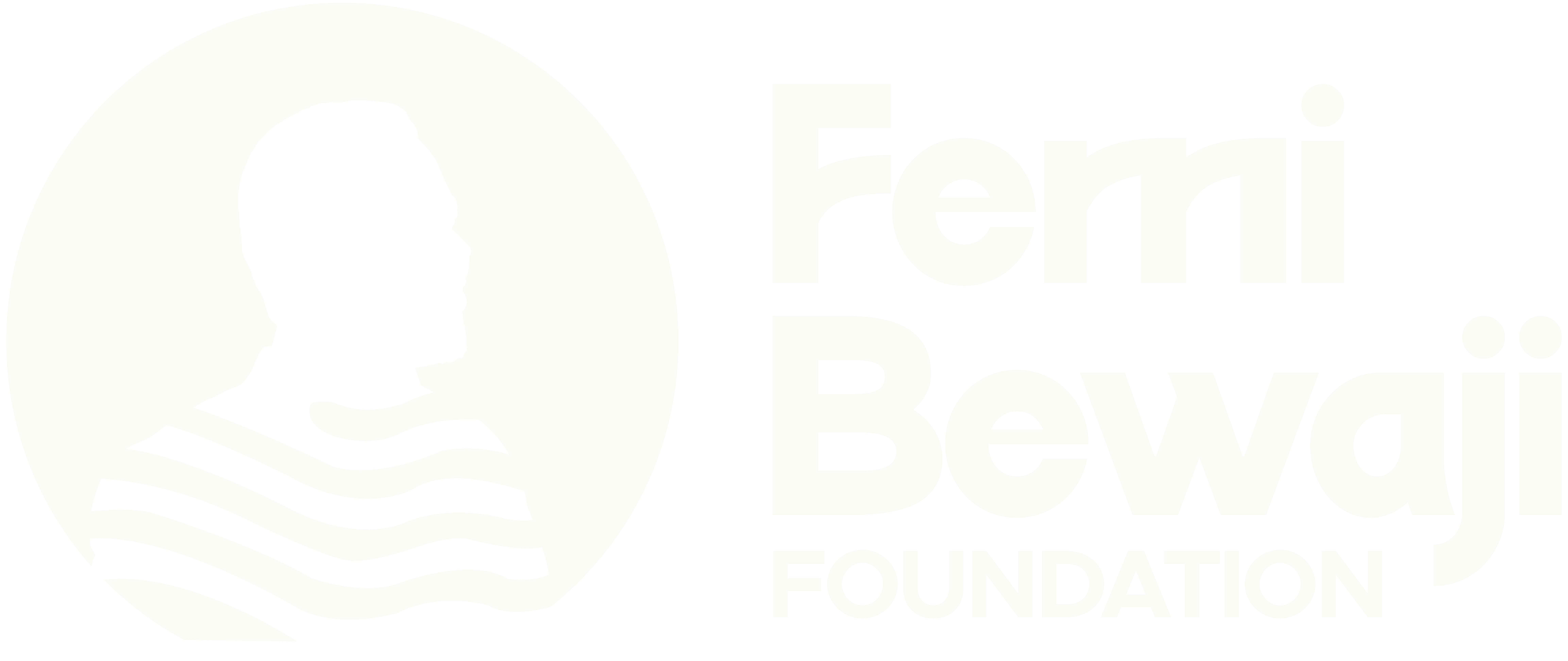 The Femi Bewaji Foundation